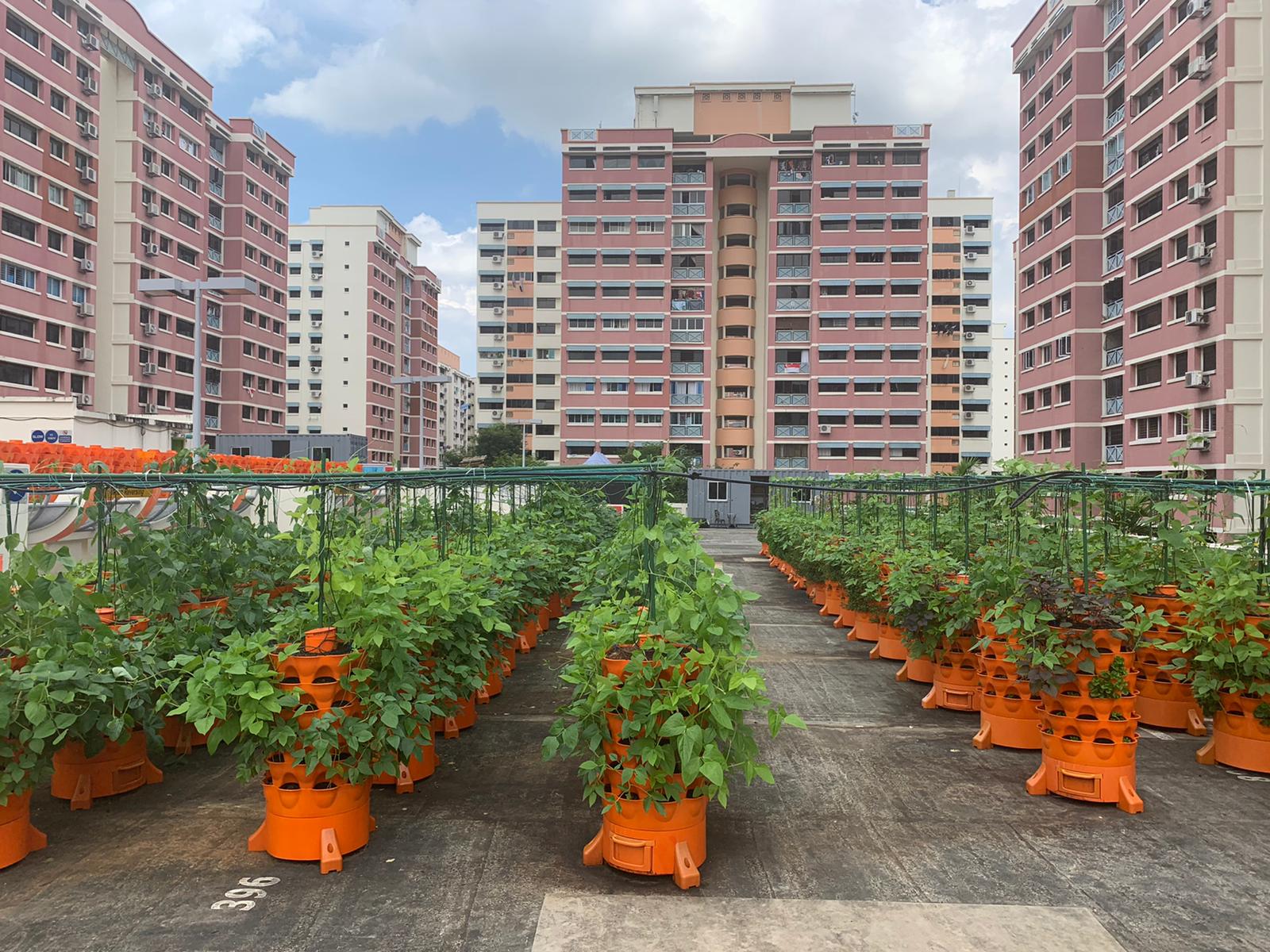 Smart Farm Collaboration (Soil based)