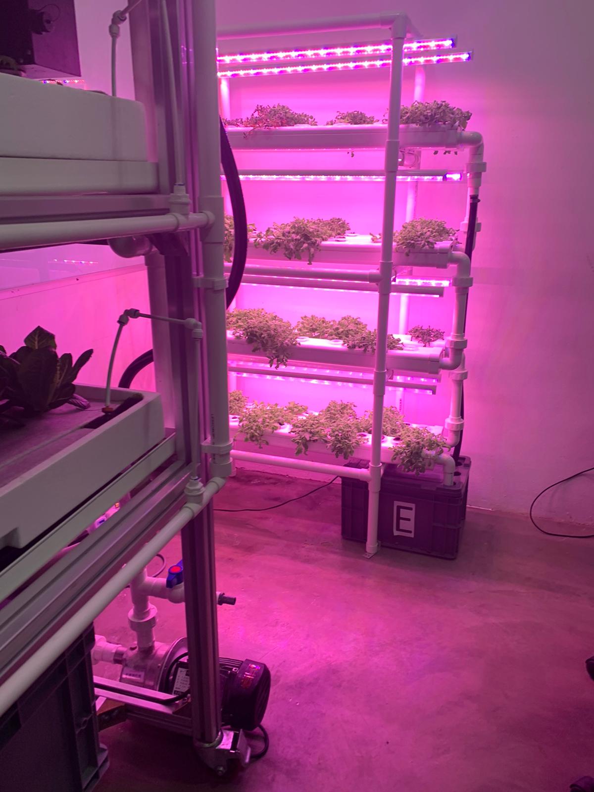 Meeting with a local farmer to collaborate