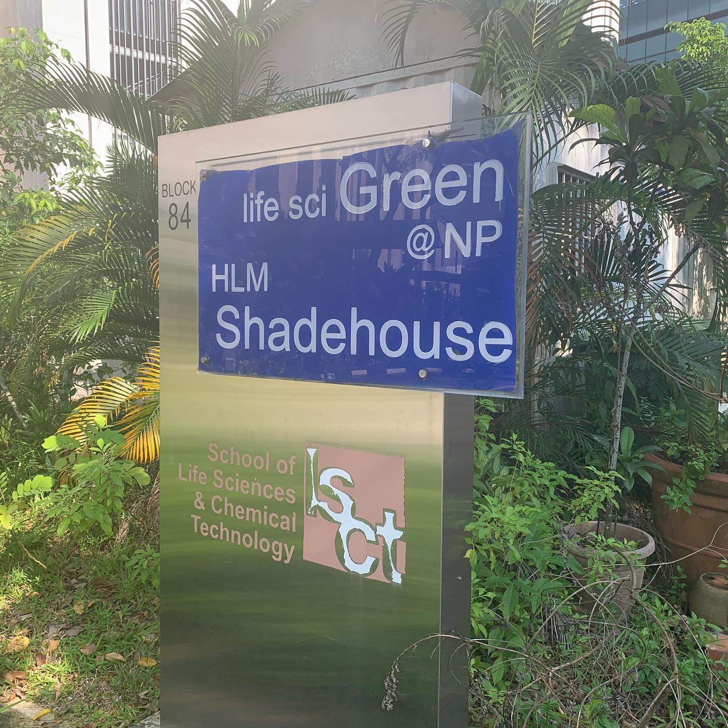 Local Singapore Polytechnic Smart Farm Collaboration